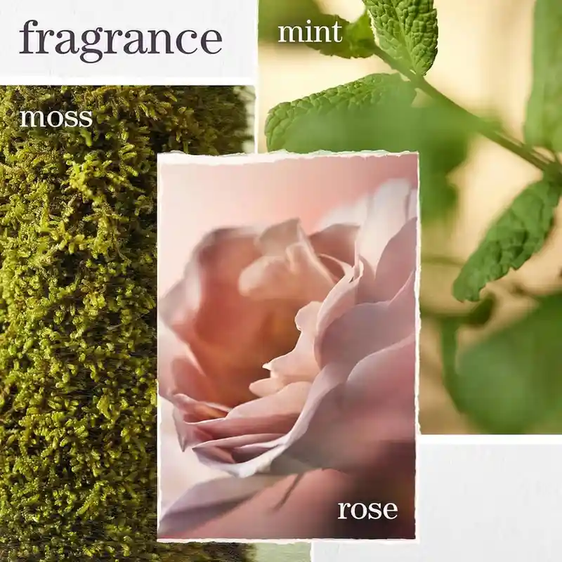 Pureology Hydrate Sheer Conditioner product